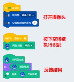人工智能插件應用 賦能大腦識別與軟件開發(fā)新紀元